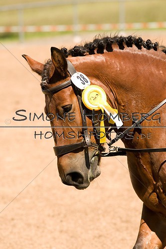 (c)SimoneHomberg_Ponyfest_So_20150607_0326