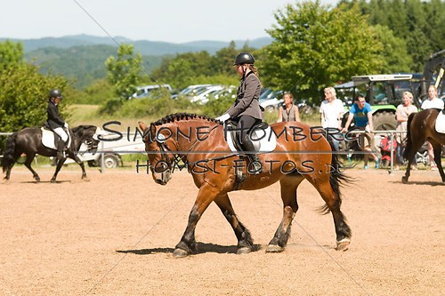 (c)SimoneHomberg_Ponyfest_So_20150607_0332