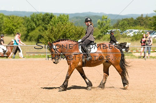 (c)SimoneHomberg_Ponyfest_So_20150607_0333