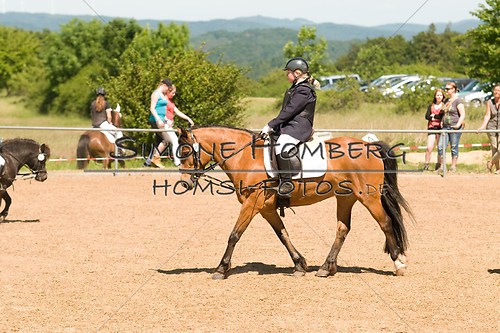 (c)SimoneHomberg_Ponyfest_So_20150607_0334