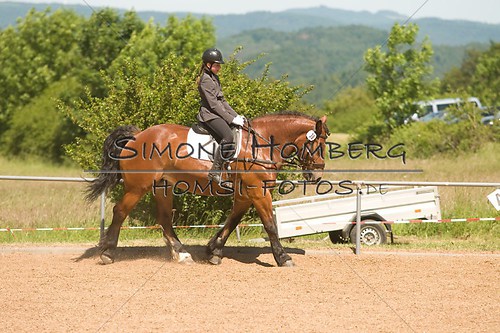 (c)SimoneHomberg_Ponyfest_So_20150607_0338