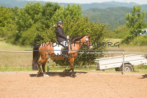 (c)SimoneHomberg_Ponyfest_So_20150607_0339