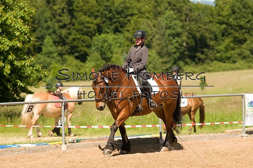 (c)SimoneHomberg_Ponyfest_So_20150607_0346