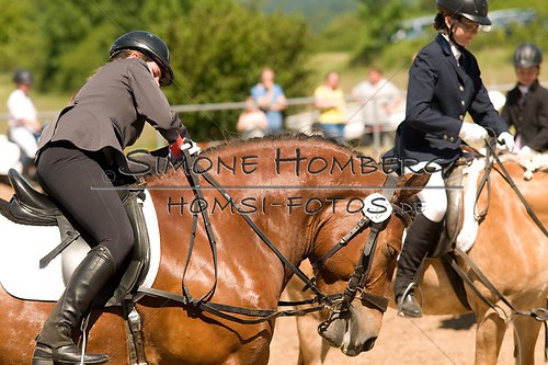 (c)SimoneHomberg_Ponyfest_So_20150607_0352