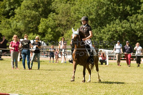 (c)SimoneHomberg_Ponyfest_So_20150607_0390