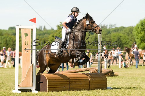 (c)SimoneHomberg_Ponyfest_So_20150607_0400