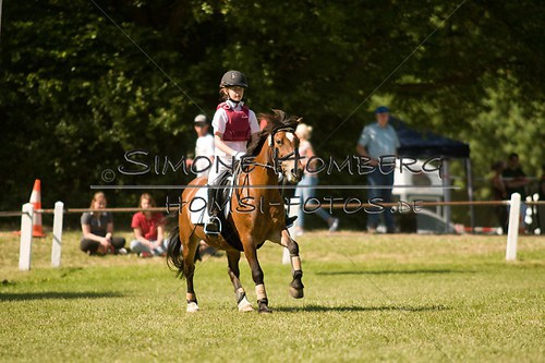 (c)SimoneHomberg_Ponyfest_So_20150607_0402