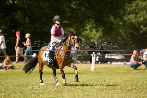 (c)SimoneHomberg_Ponyfest_So_20150607_0403
