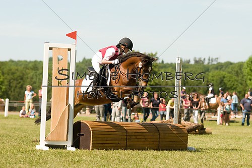 (c)SimoneHomberg_Ponyfest_So_20150607_0406