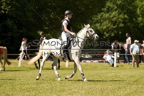 (c)SimoneHomberg_Ponyfest_So_20150607_0411