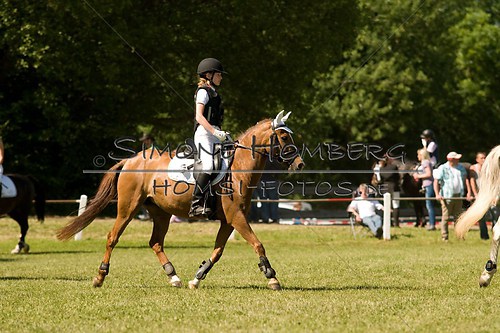 (c)SimoneHomberg_Ponyfest_So_20150607_0412