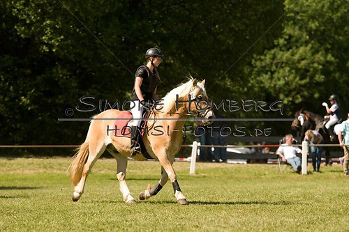 (c)SimoneHomberg_Ponyfest_So_20150607_0415