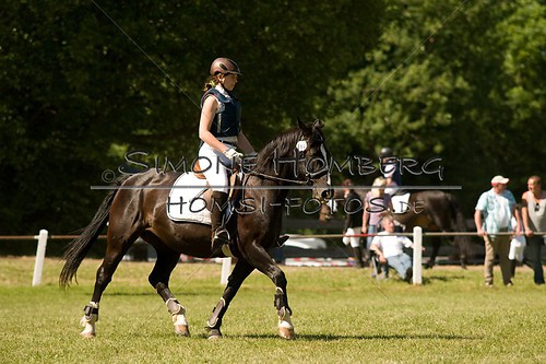 (c)SimoneHomberg_Ponyfest_So_20150607_0416