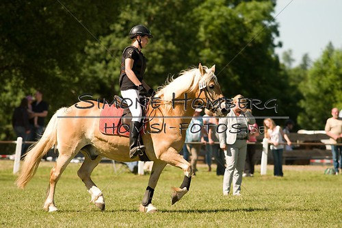 (c)SimoneHomberg_Ponyfest_So_20150607_0421