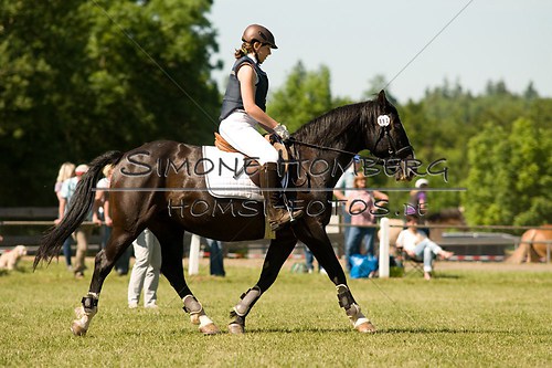 (c)SimoneHomberg_Ponyfest_So_20150607_0422