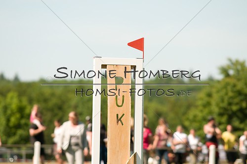 (c)SimoneHomberg_Ponyfest_So_20150607_0436