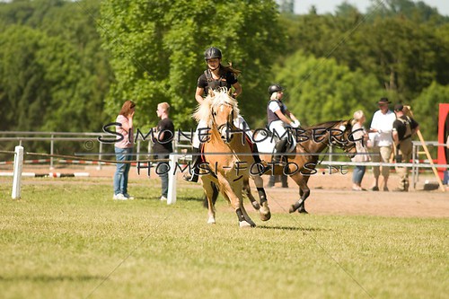 (c)SimoneHomberg_Ponyfest_So_20150607_0463