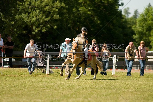 (c)SimoneHomberg_Ponyfest_So_20150607_0471