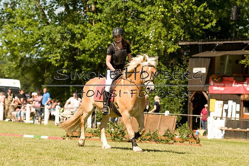 (c)SimoneHomberg_Ponyfest_So_20150607_0475