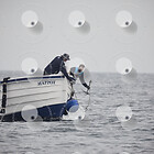 Glück Early Bird Hummer