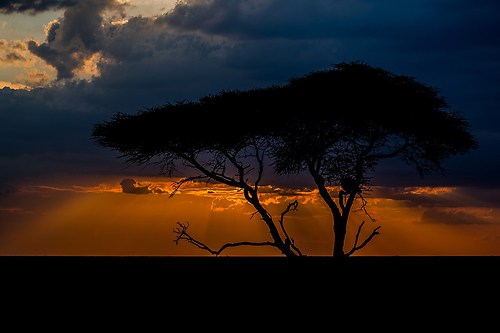 10_Eberl Harald_Sonnenuntergang in Tansania