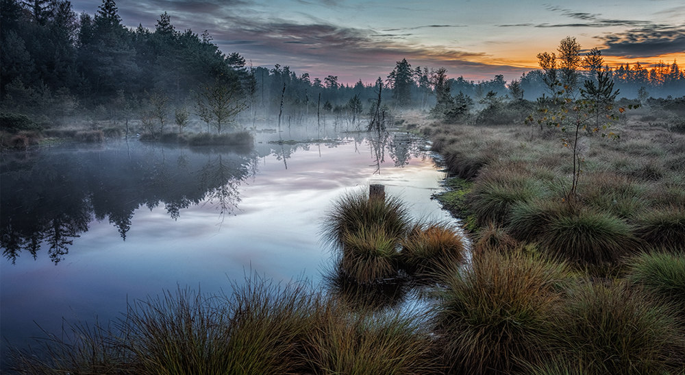 5 (Moor) |  Originalbild unter: http://manfredkarisch.getphoto.at/photo/54747235-1020-4dac-b43e-4d750a22c35e