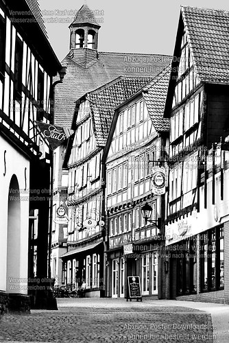 Grünberg 7