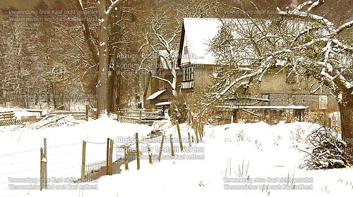 grünberg 13