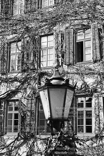 Laubach 1