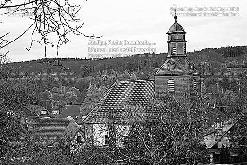 Lauter1