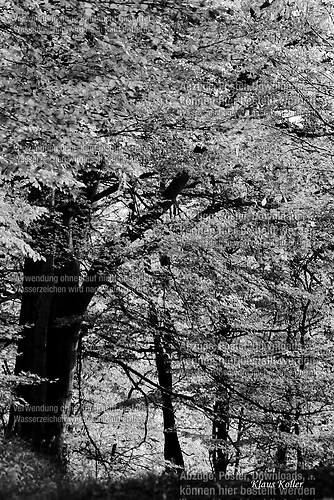 Natur