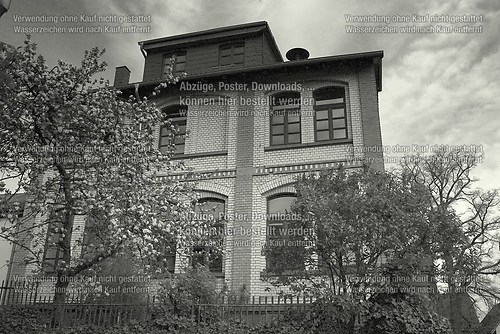 Stangenrod 5 - Kopie