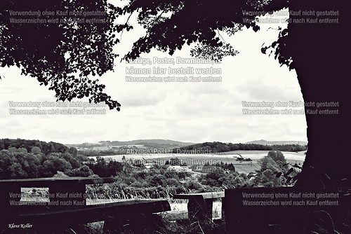 Stockhausen - Drei Linden