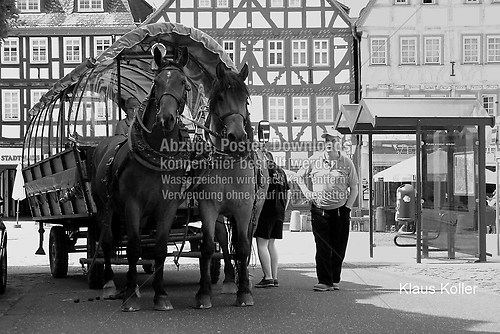 IMG_6697