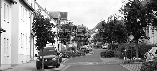 IMG_7452