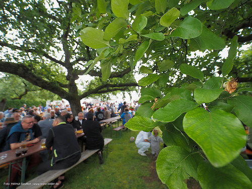 Vatertag (MF93[2025]_5250053)