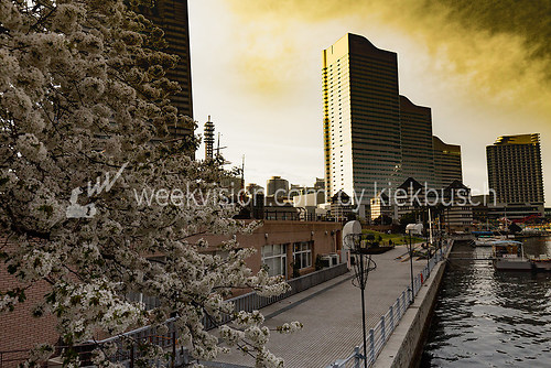 Yokohama Park (053 Yokohama Park - Japan 2016 - Yokohama-shi)