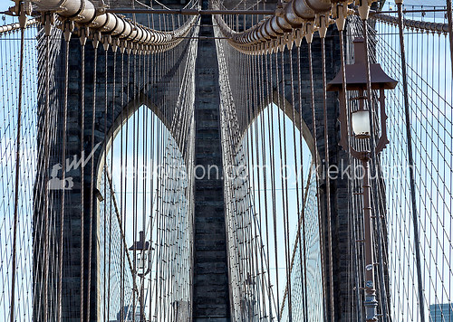 Brookly Bridge (Brookly Bridge -_)