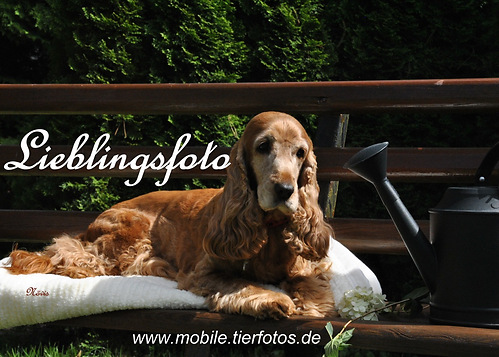 acover lieblingsfoto 3