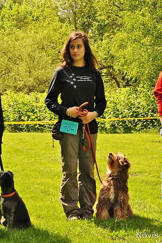 Supermischling2012 020