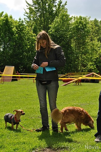 Supermischling2012 026