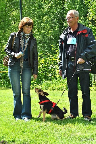 Supermischling2012 030