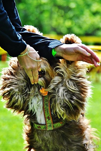 Supermischling2012 042