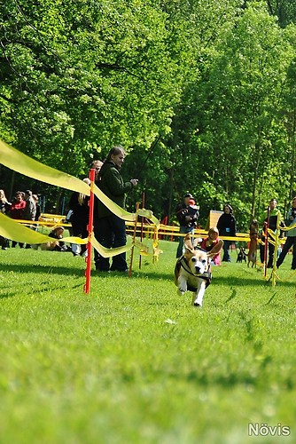 Supermischling2012 365