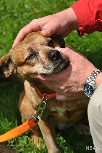 Supermischling2012 248