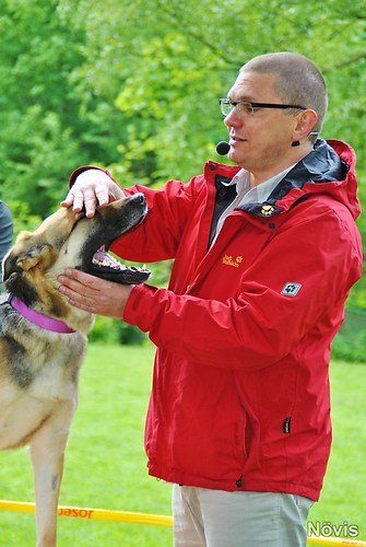 Supermischling2012 279