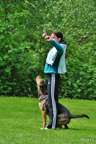 Supermischling2012 282