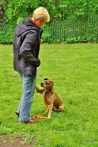 Supermischling2012 237