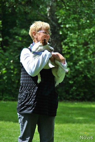 Supermischling2012 280