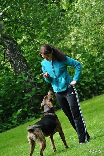 Supermischling2012 294